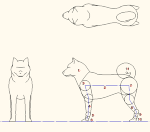 犬モデル化 点景・計画用  DXF