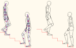 人物モデル化(成人男性階段上り下り） DXF