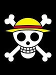 将来海賊王になる団体の旗