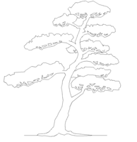 樹木添景図 松の木