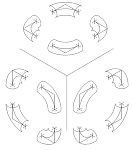 溶接配管の等角法図の継手部品(本ﾃﾞｰﾀｰ)