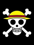 将来海賊王になる団体の旗