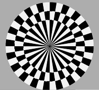 真円が歪む錯視データ