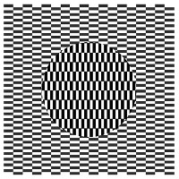 動く錯視データ-1